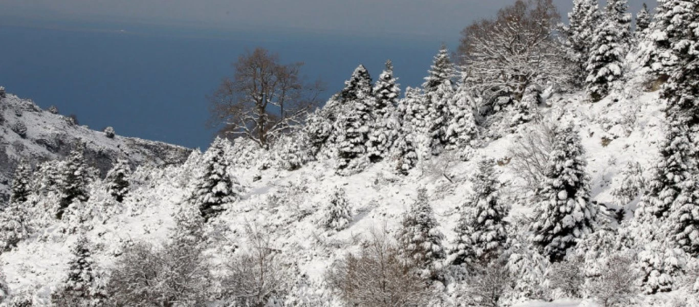 Αυστρία: Zευγάρι έπεσε από πλαγιά 200 μέτρων μετά την πρόταση γάμου (βίντεο)
